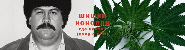 гидра Горнозаводск