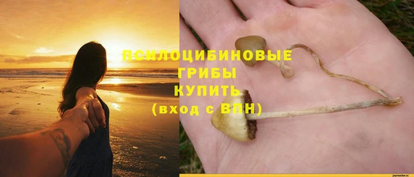 гидра Горнозаводск