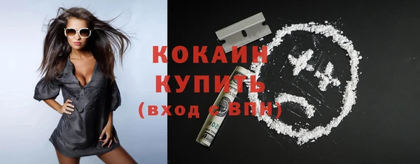 гидра Горнозаводск