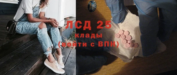 гидра Горнозаводск